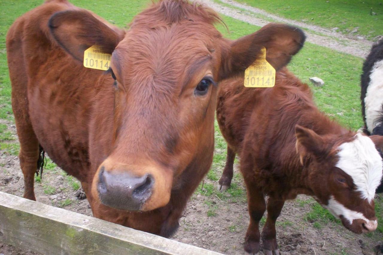فيلا Ullathorns Farm كيركبي لونسديل المظهر الخارجي الصورة